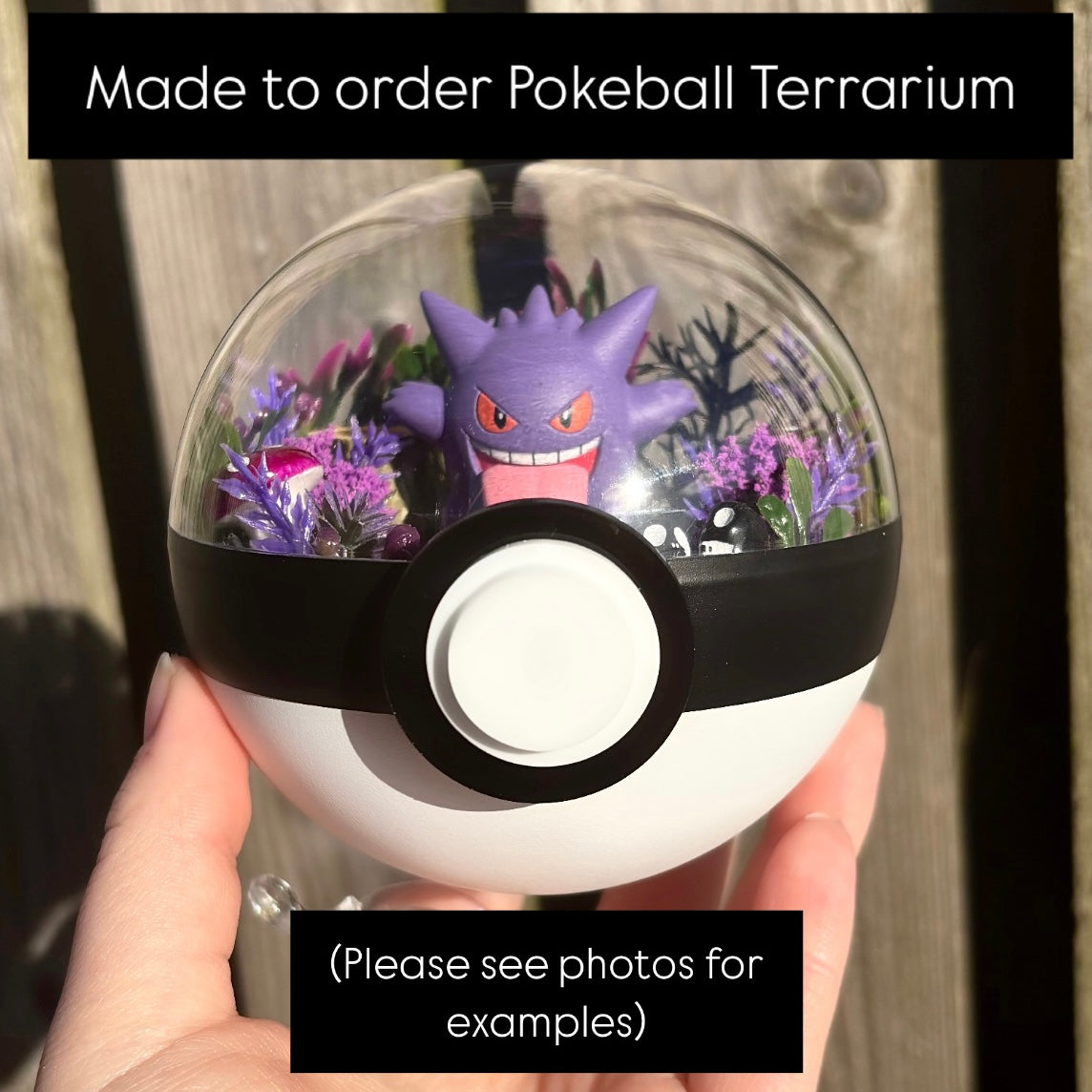 MADE TO ORDER Pkball Terrarium (Standard Size, 10cm diameter)