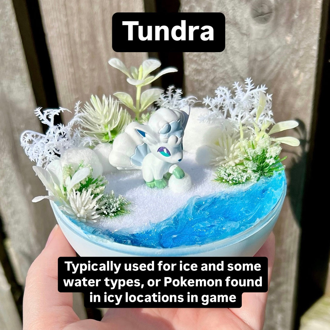 MADE TO ORDER Pkball Terrarium (Standard Size, 10cm diameter)