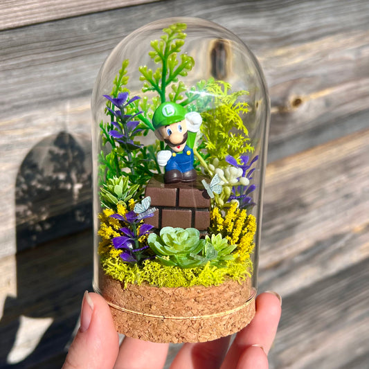 Plumber Bro Glass Dome Terrarium