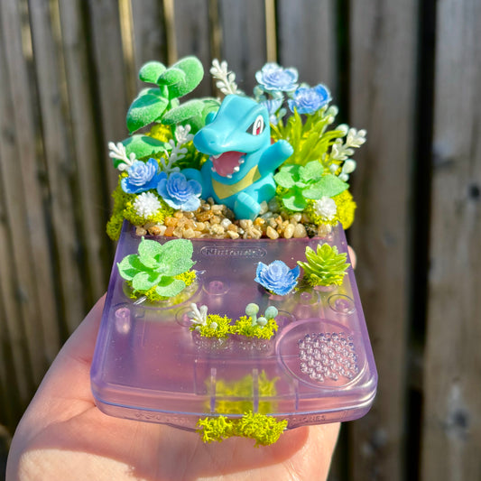 Totodile Clear Purple Gameboy Colour Terrarium
