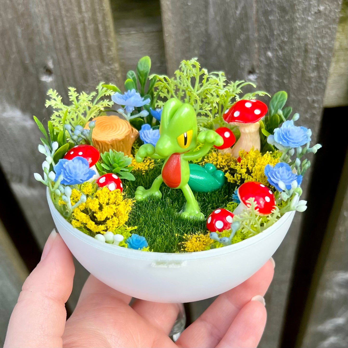 MADE TO ORDER Pkball Terrarium (Standard Size, 10cm Diameter) STARTERS